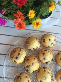 muffini sa jagodama, šumske jagode, cupcakes s jagodama, cupcakes