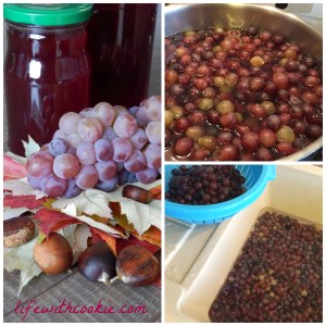 slatko od grožđa, žele od grožđa