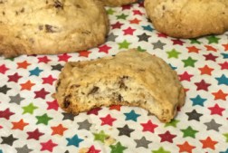 suhi keksići, kućni prijatelji,