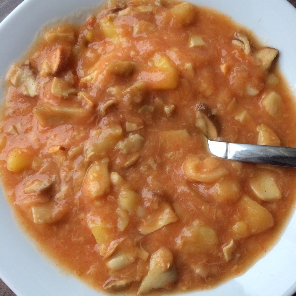 vrganji, varivo od vrganja, jelo s vrganjima, ručak s vrganjima