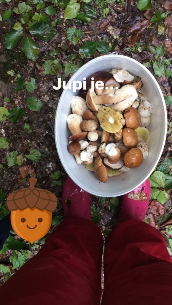 vrganji, varivo od vrganja, jelo s vrganjima, ručak s vrganjima