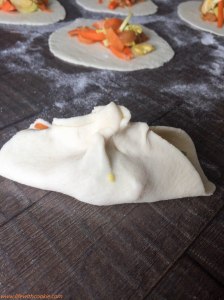 pripema dumplings