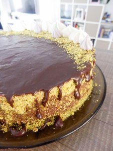 čokoladna torta s pistacijom